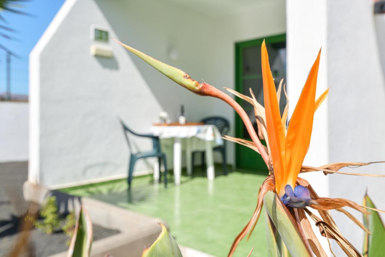 Mimosa B1 Lägenhet Puerto del Carmen  Exteriör bild